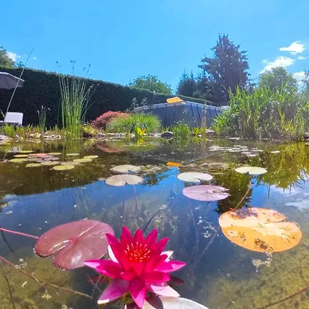 Appartement Lauras - Ihre Wohlfuehloase In Der Suedweststeiermark Mit Garten, Pool, Biotop & Weinbar Eibiswald