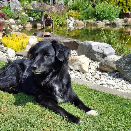 Lauras - Ihre Wohlfuehloase In Der Suedweststeiermark Mit Garten, Pool, Biotop & Weinbar *