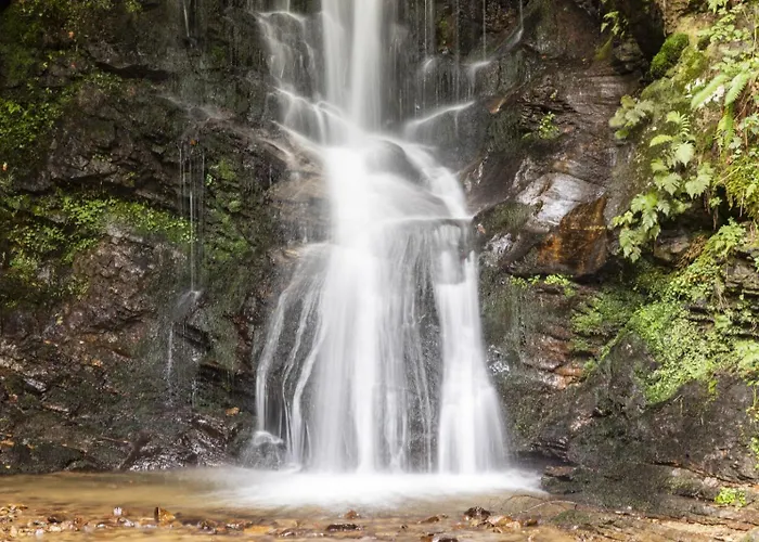 公寓 Lauras - Ihr Wohlfuehlort In Der Suedsteiermark Eibiswald